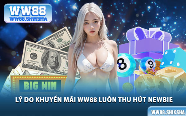 Lý Do Khuyến Mãi WW88 Luôn Thu Hút Newbie