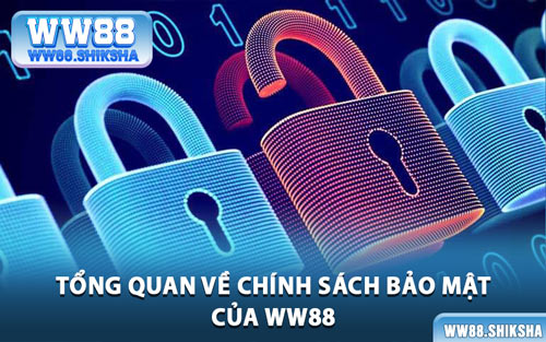 Tổng Quan Về Chính Sách Bảo Mật Của WW88