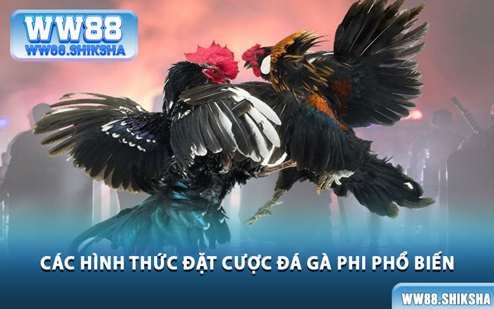 Các Hình Thức Đặt Cược Đá Gà Phi Phổ Biến